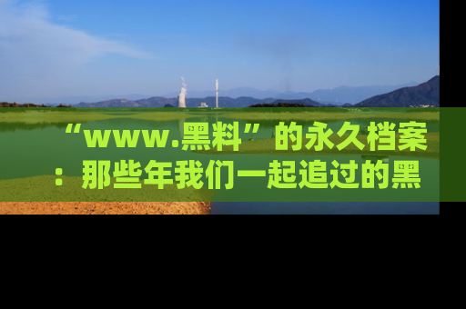 “www.黑料”的永久档案：那些年我们一起追过的黑料真相