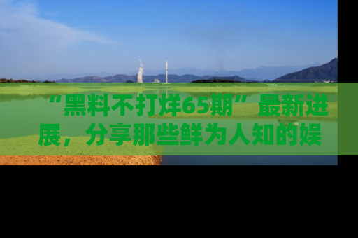 “黑料不打烊65期”最新进展，分享那些鲜为人知的娱乐八卦