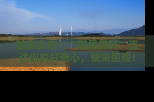 独家发布！“明星黑料”直达你的好奇心，快来围观！