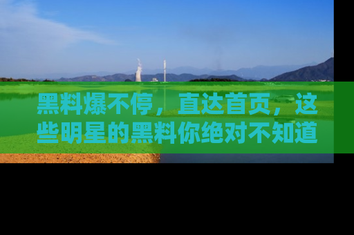 黑料爆不停，直达首页，这些明星的黑料你绝对不知道！