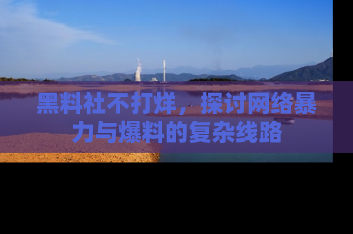 黑料社不打烊，探讨网络暴力与爆料的复杂线路