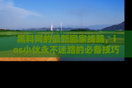 黑料网的最新回家线路，ios小伙永不迷路的必备技巧！
