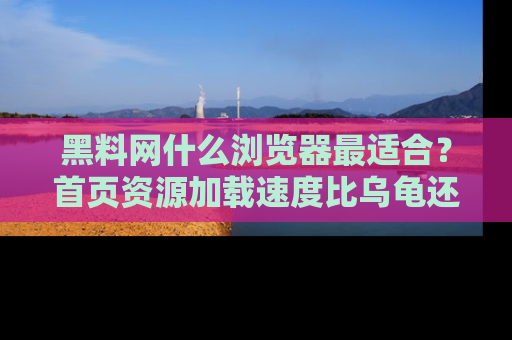 黑料网什么浏览器最适合？首页资源加载速度比乌龟还慢的体验真心吐槽！