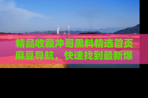 精品收藏冲哥黑料精选首页麻豆导航，快速找到最新爆料