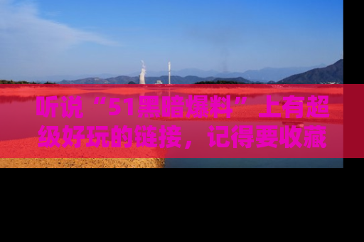 听说“51黑暗爆料”上有超级好玩的链接,记得要收藏哦!