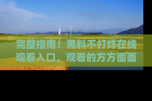 完整指南：黑料不打烊在线观看入口，观看的方方面面与app选择
