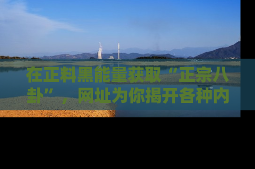 在正料黑能量获取“正宗八卦”,网址为你揭开各种内幕故事!