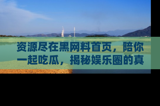 资源尽在黑网料首页,陪你一起吃瓜,揭秘娱乐圈的真实内幕
